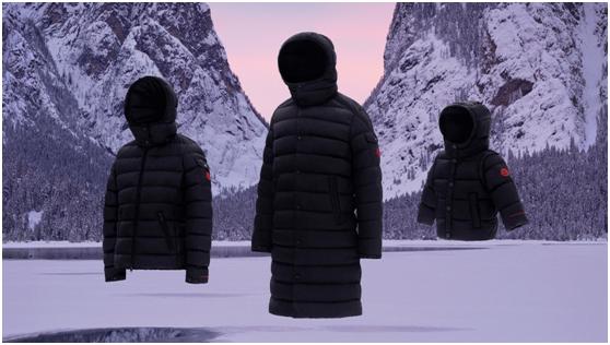 怎么花最少的钱买真大鹅,怎样才能买到真正的正宗的大鹅