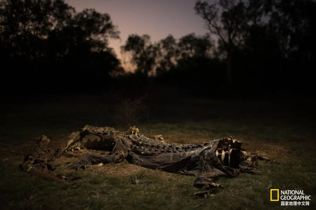 槌勯奔鑱屼笟鐚庝汉,槌勯奔鐚庝汉骞磋柂