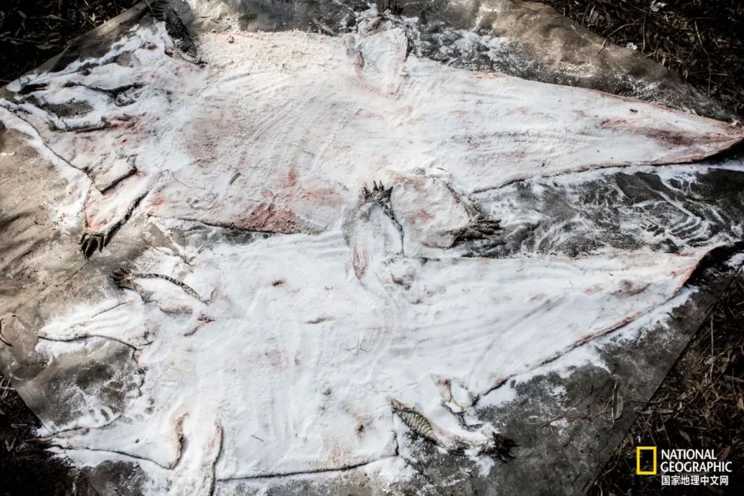 槌勯奔鑱屼笟鐚庝汉,槌勯奔鐚庝汉骞磋柂