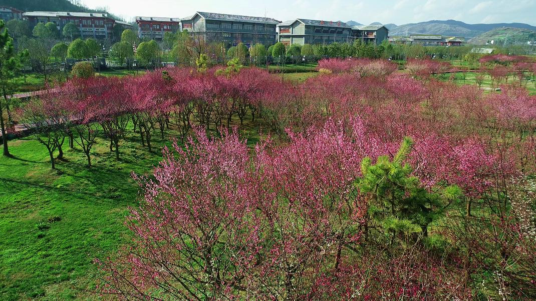 春节广东出发外省旅游攻略,春节旅游攻略提前看