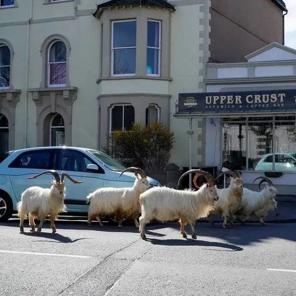 好莱坞拍了隔离期间的《史密斯夫妇》,他们盯上了全球顶奢百货里价值2700万的钻石