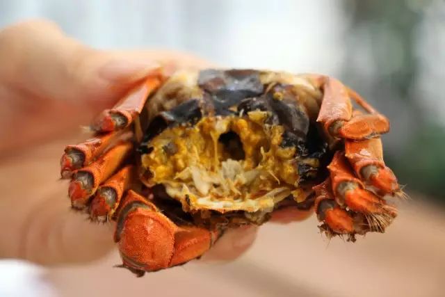 无锡口味独特吗,无锡的味道