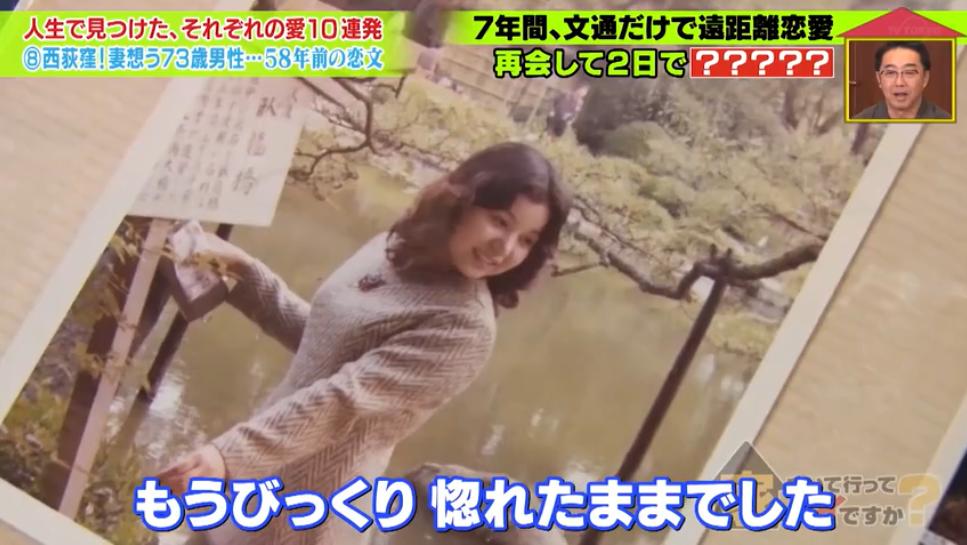 在泳池一见钟情，为妻子毅然辞职，这是一段持续58年来自日本的神仙狗粮…