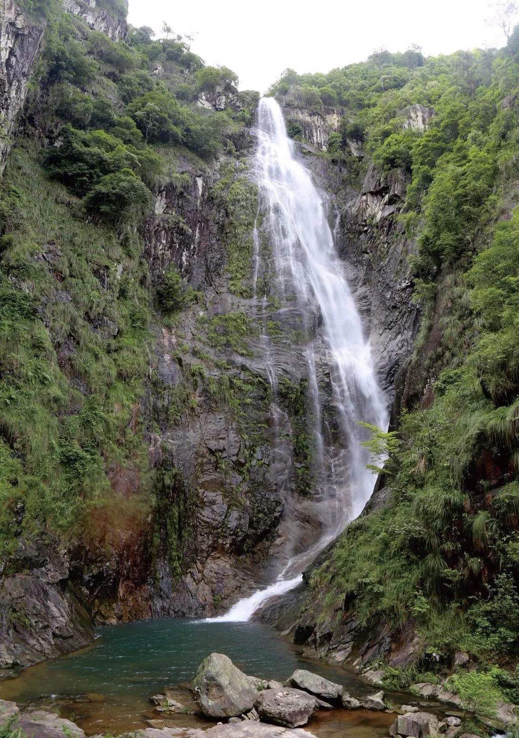打卡好西乡！桃花胜*光春**，佳人已成双