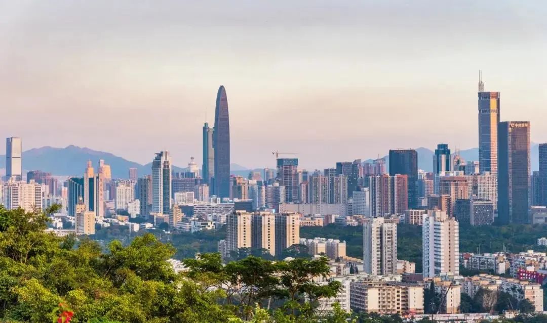 你好，我叫深圳，这是我的简历