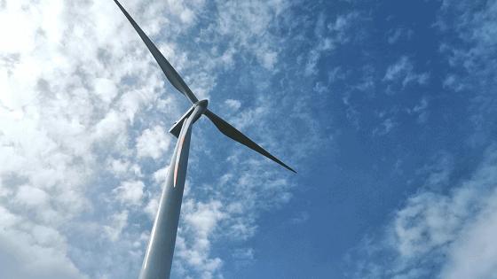 防城旅游攻略景点大全,防城港周围旅游景点古村