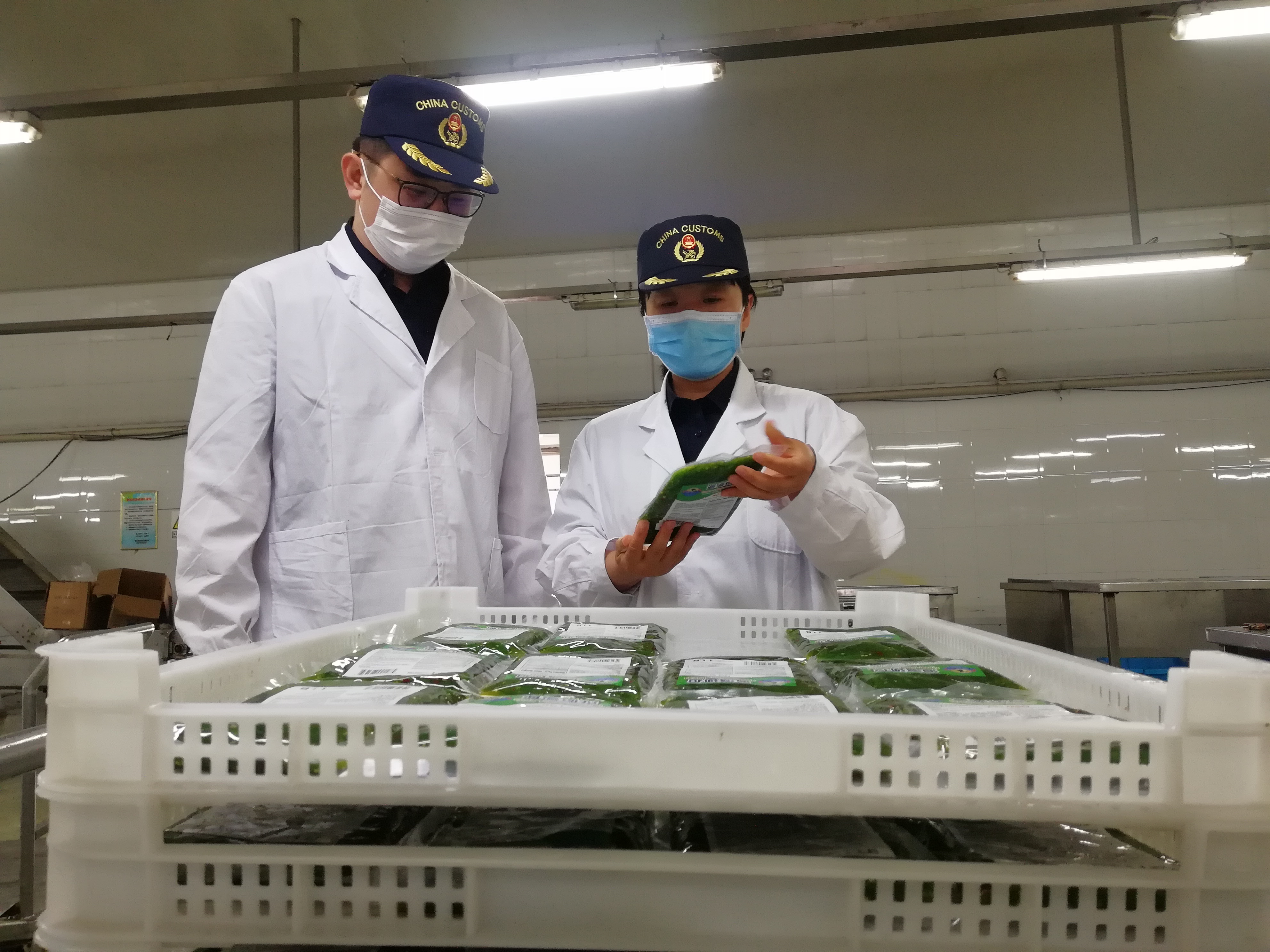 海关稳外贸促发展,优环境促发展