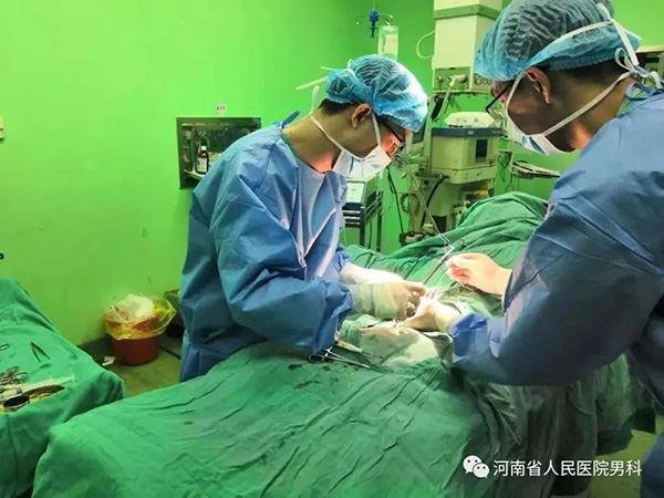 高飞河南商丘,高飞河南