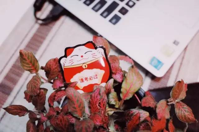 学生e通卡优惠多少,学生e通卡办理