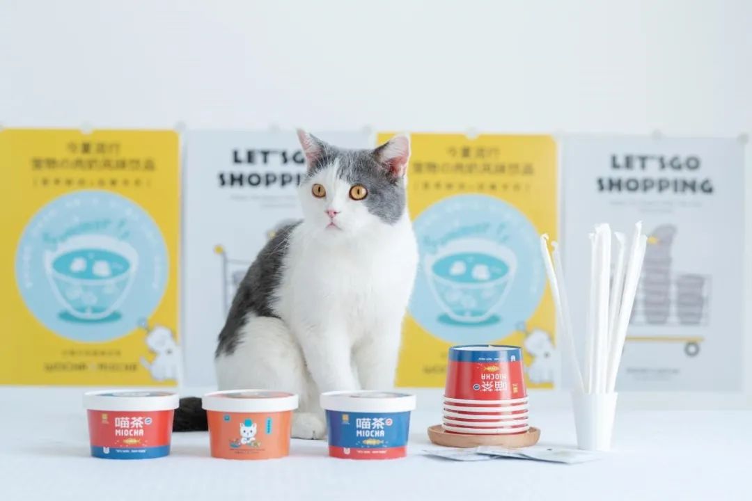 25岁,我给猫狗做奶茶,年入300万|后窗