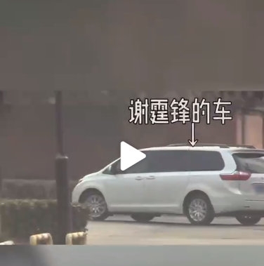 锋菲恋未来走向谢霆锋给出答案,锋菲被偶遇谢霆锋眼神宠溺甜炸屏