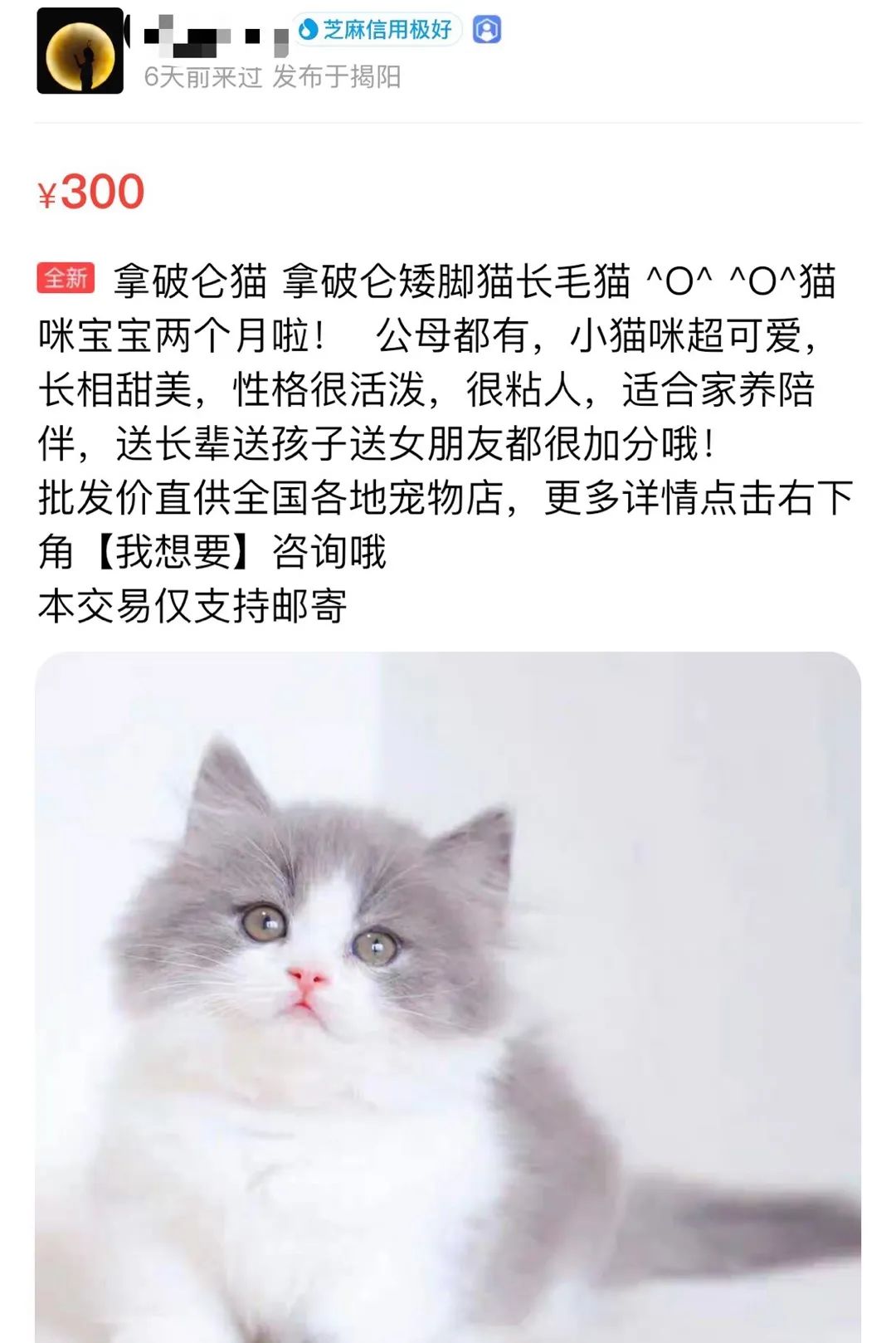 *子骗**又出新套路，可爱小猫沦为「骗钱工具人」