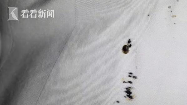 住了民宿发现臭虫,到底是谁之过原版