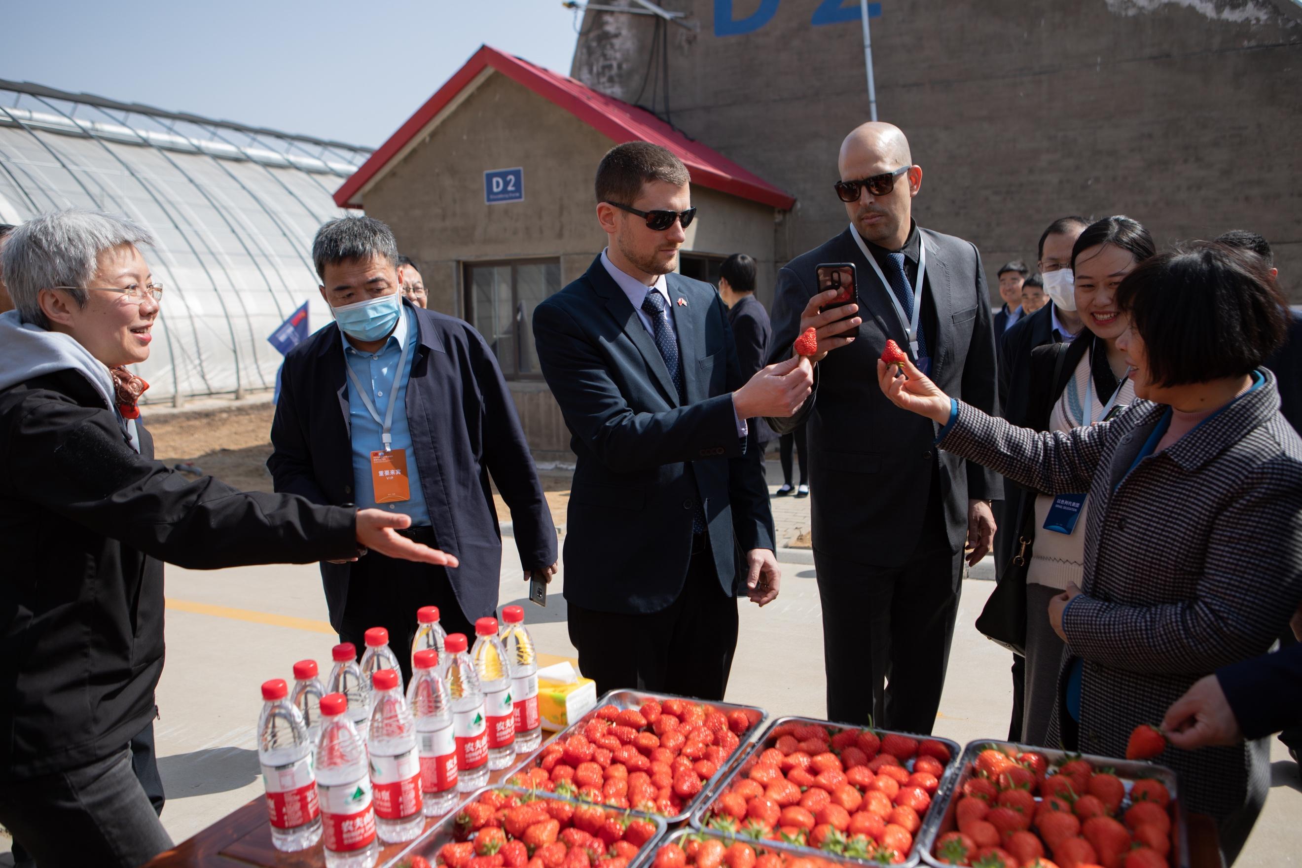 以色列农业的先进技术视频,以色列现代农业