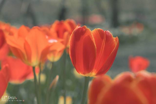 绘画我和春天有个约会,亲子绘画我和春天有个约会