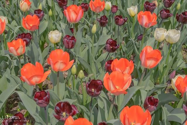 绘画我和春天有个约会,亲子绘画我和春天有个约会