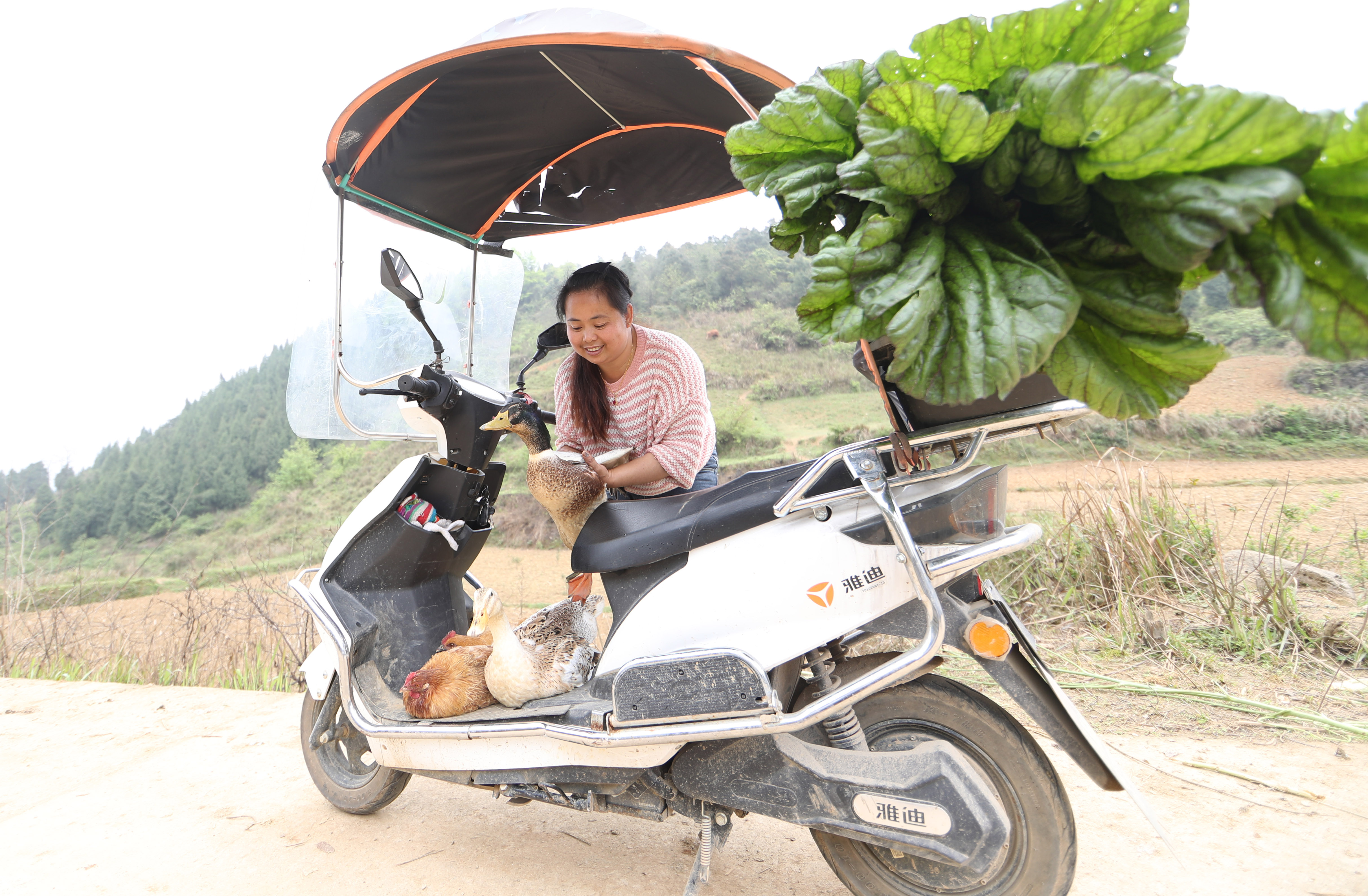 货郎的故事大全视频,贵州玉屏女货郎