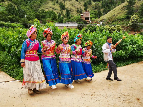 惠民县乡村振兴规划,振兴乡村惠民工程
