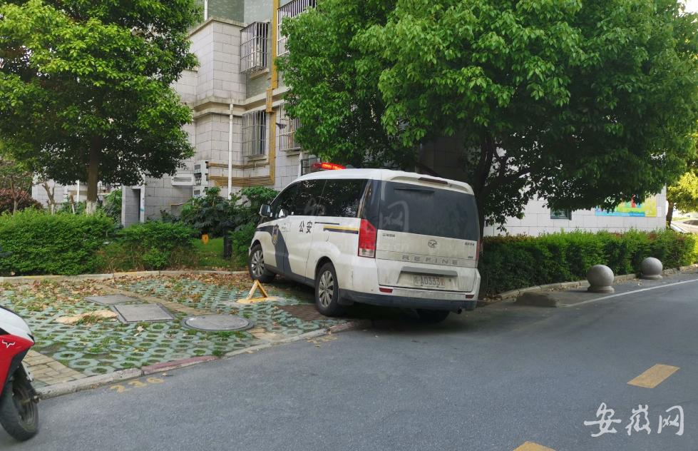 3岁女童从11楼坠楼后续,3岁女童坠楼身亡后续