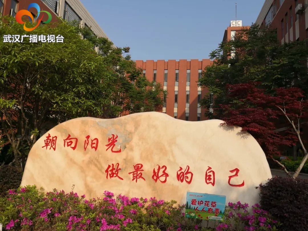 中国女足晋级奥运会，汉阳的铿锵小玫瑰们坐不住了