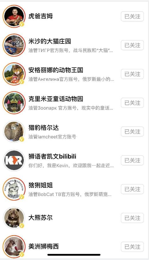 战斗民族猛宠,战斗民族俄罗斯对动物的硬核视频