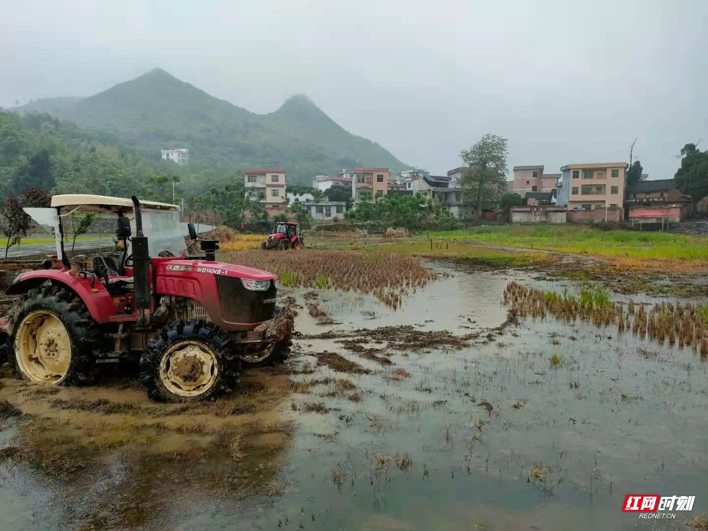 介福乡稳步推进耕地抛荒整治工作,乡镇耕地抛荒治理典型材料