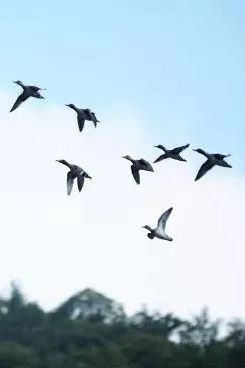 义乌美食及景点,义乌一日游必打卡美食