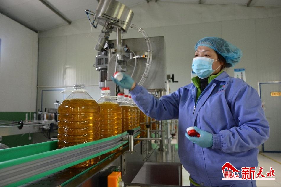 滴滴醇香油为农民致富搭“金桥”