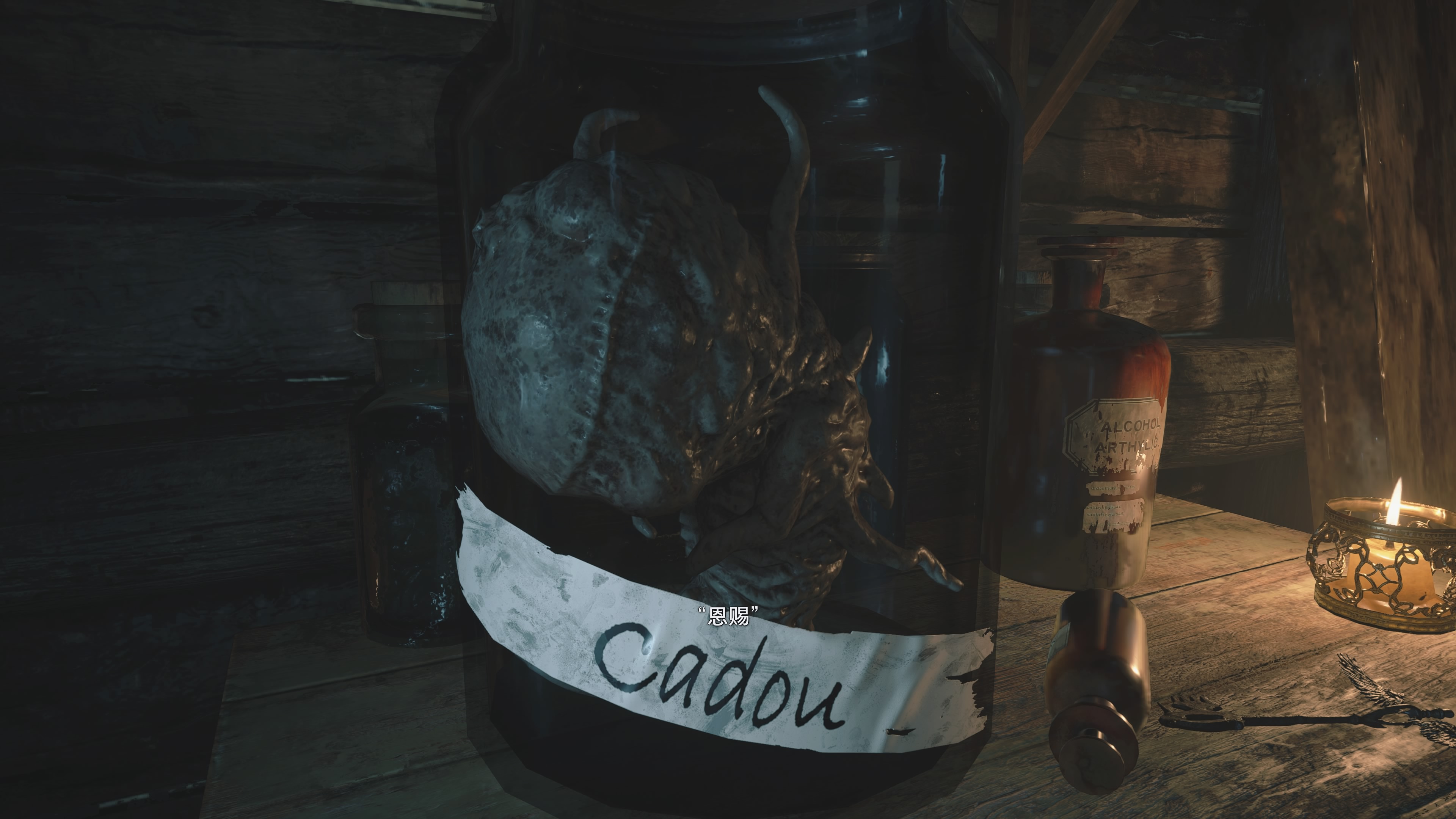 生化危机8村庄全收集攻略,生化危机8村庄流程攻略完整版