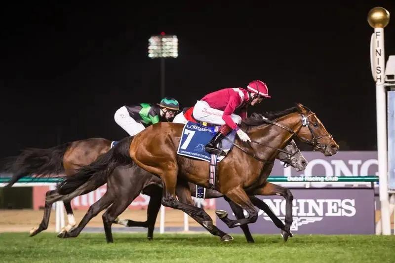 中国马匹身高排名,世界上最强悍的马匹排名前十