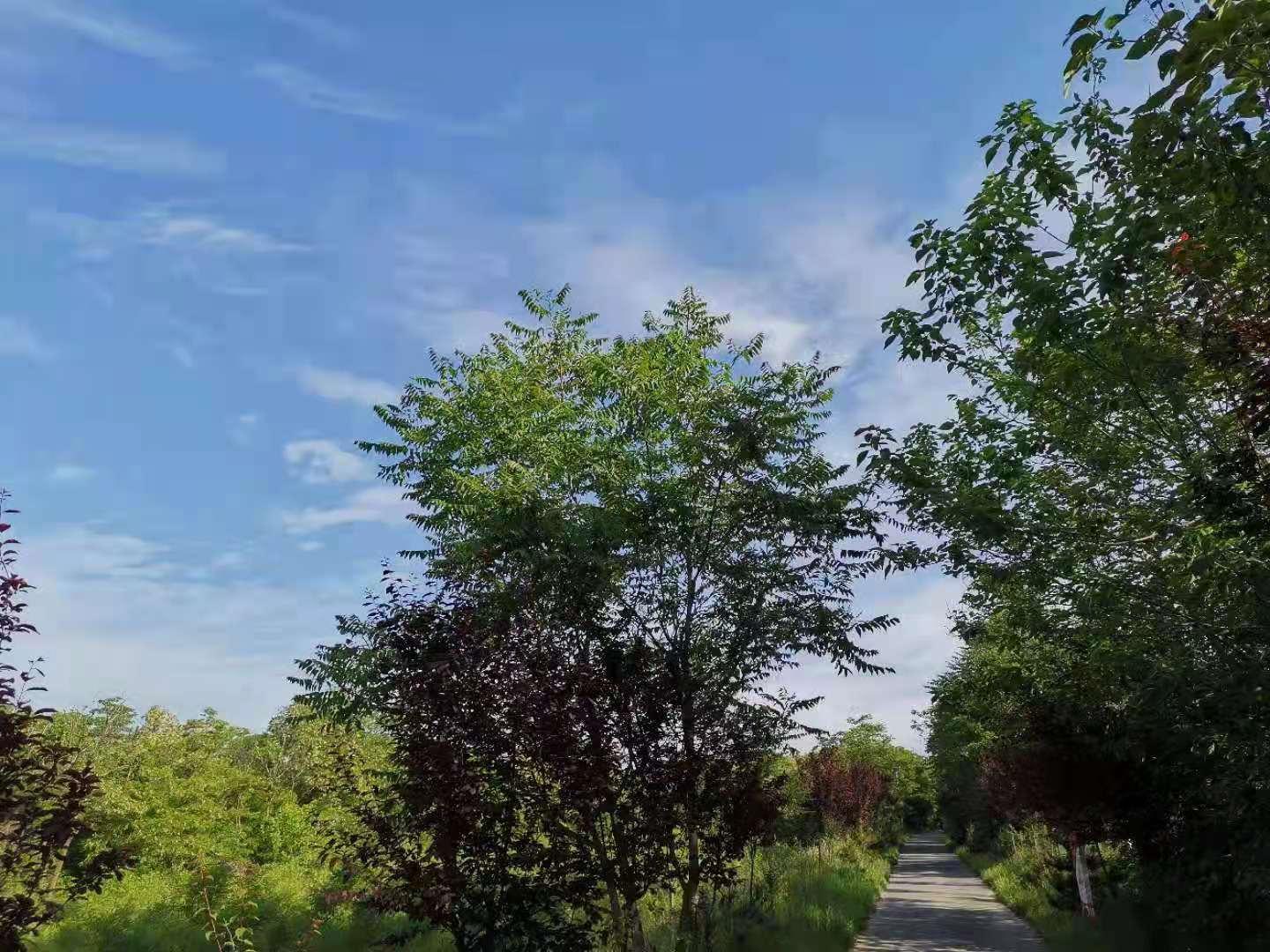 咸阳存留的古镇,咸阳人间仙境