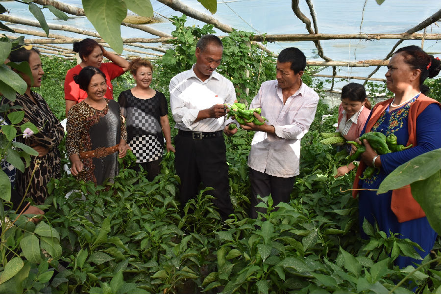 *疆新**和静：“村村有优品”全力助推乡村产业振兴