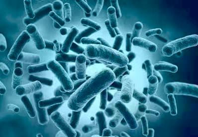 宝宝发热没有必要警惕,宝宝发热但是不感冒