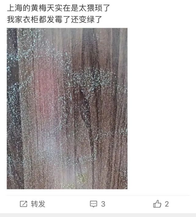 车发霉进icu,车子室内发霉