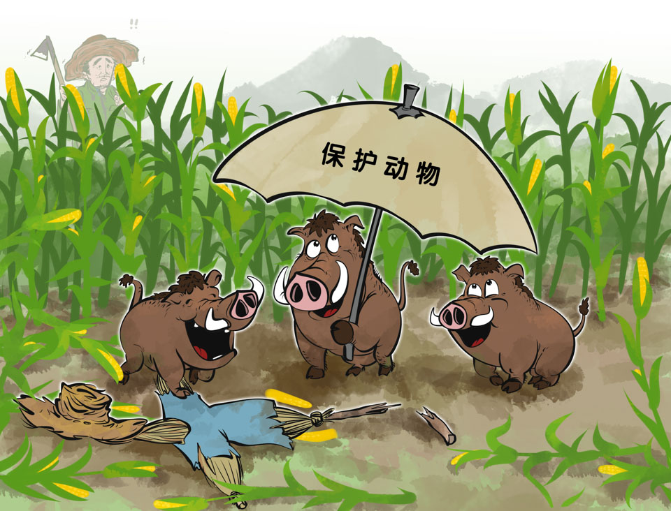 浜轰笌鍔ㄧ墿鍐茬獊,浜哄拰鍏戒箣闂寸殑鍐茬獊