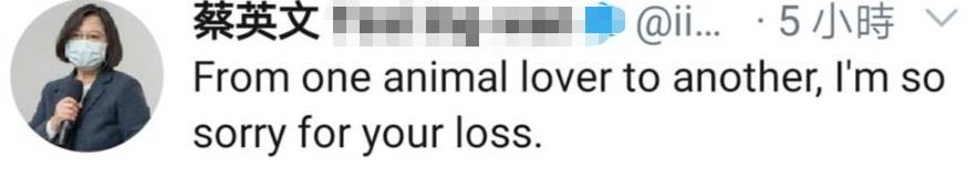 “同岛不同命”“人不如狗”……这么荒唐是*进党民**干出来的事