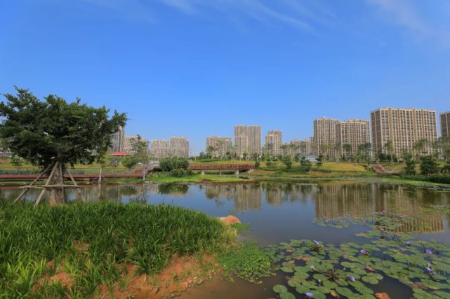 厦门地铁3号线哪一年开通,厦门地铁3号线南延进展竣工时间