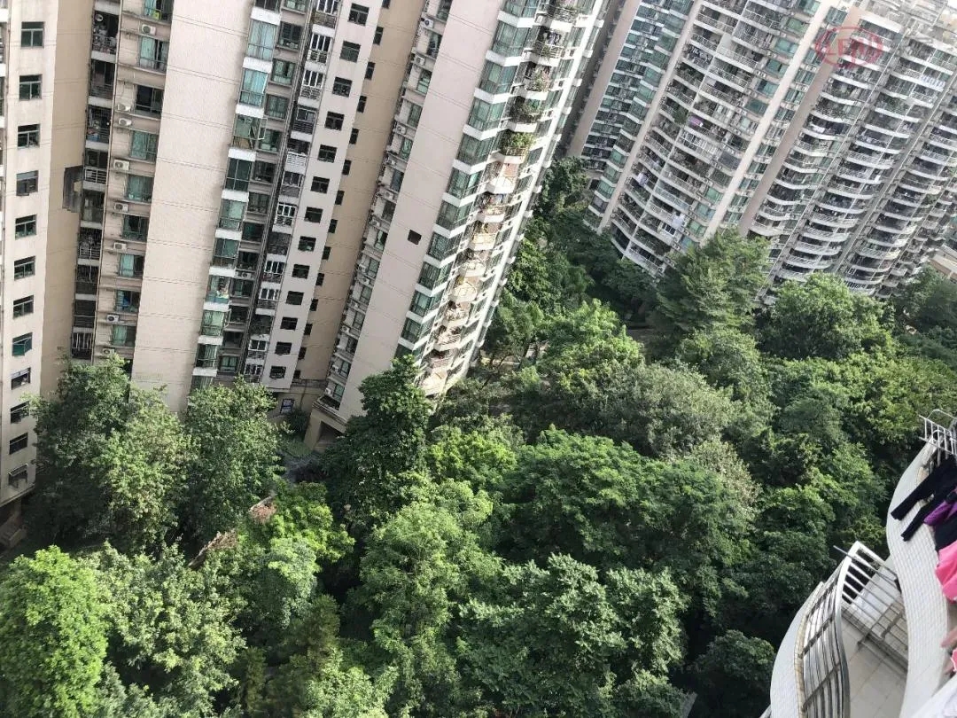 珠江新城掉价了吗,珠江新城会没落么