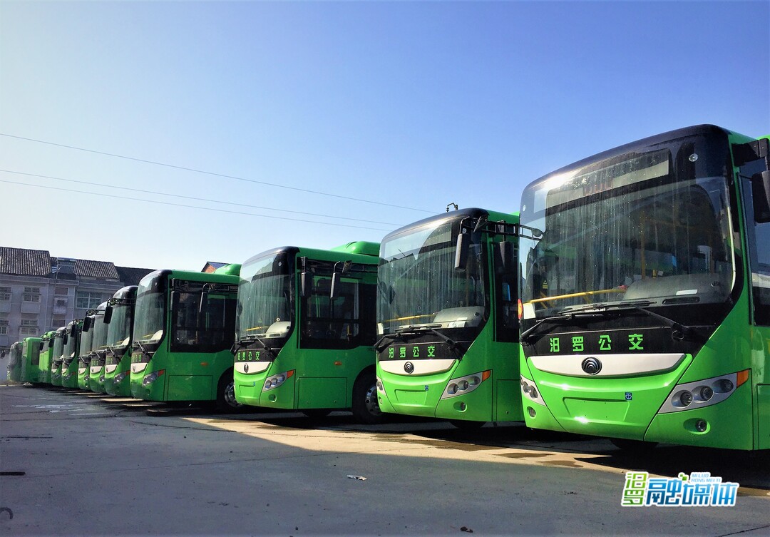 无边光景日日新打一生肖,无边光景日日新