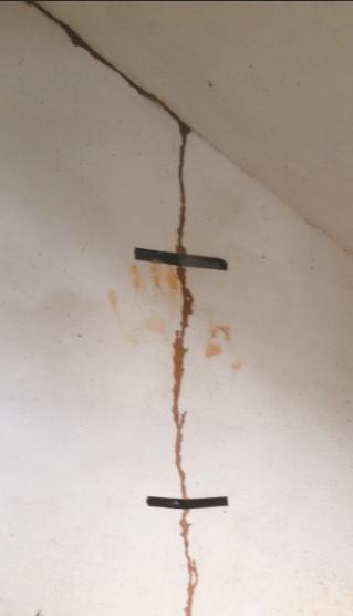 白蚁来袭莫慌这份防蚁攻略请收好,关于如何注意防白蚁的事项