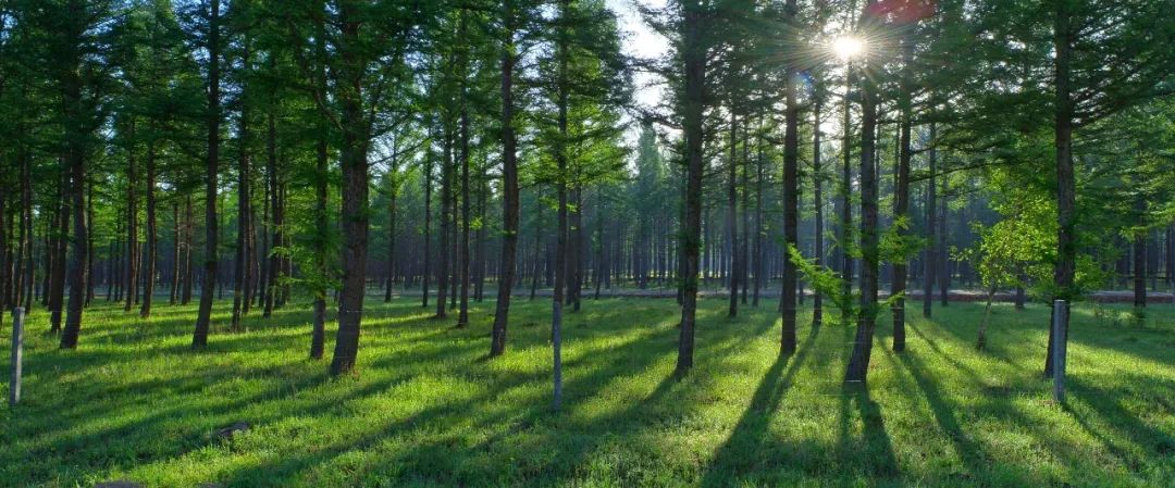 人民大会堂金色大厅,人民大会堂张桂梅