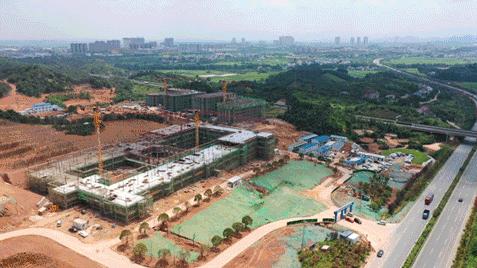 动图运动会,动图赛龙舟