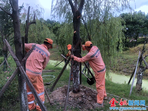 余姚台风烟花最新动态,防范烟花台风简报