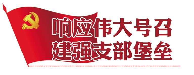 打造有特色教育党建品牌,用主题教育成果打造党建品牌