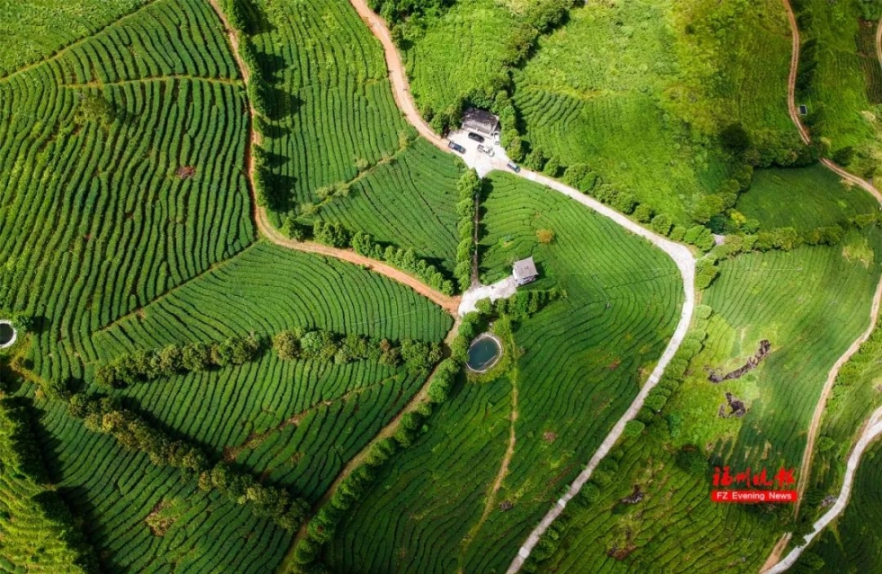 不出福州一日游去哪,不出福建省好玩的旅游景点