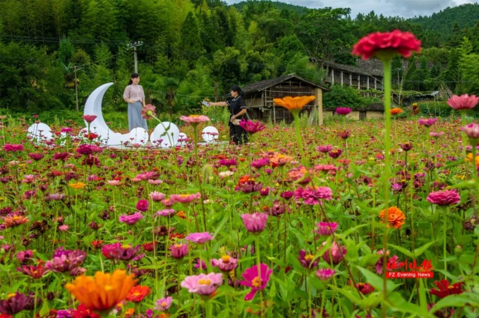 不出福州一日游去哪,不出福建省好玩的旅游景点