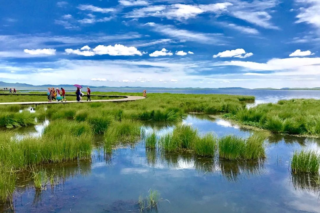 读景记丨213国道甘南段草原天路世外天堂