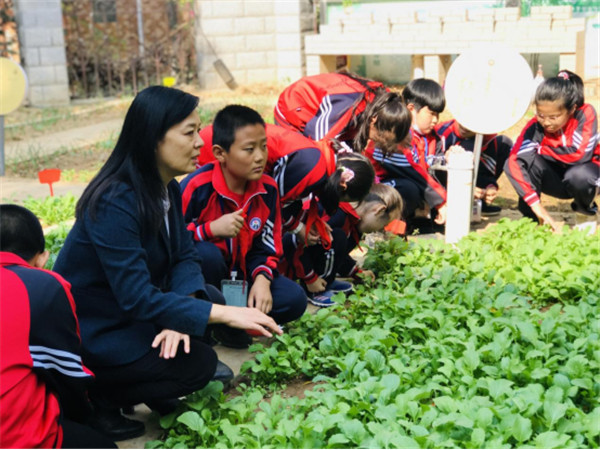 中国故事｜东营市春晖小学：“共生课程”创生学校育人新生态