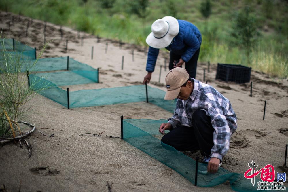 山南市沙化情况,山南市教育城东侧防沙治沙项目
