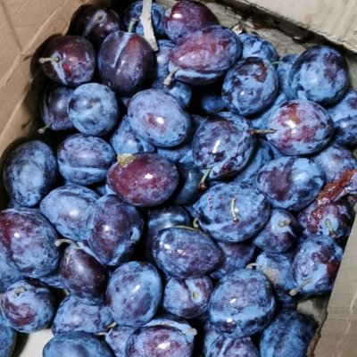 西梅干怎么做成西梅汁,西梅干西梅汁通便